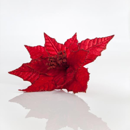 ΑΛΕΞΑΝΔΡΙΝΟ ΚΟΚΚΙΝΟ, 23x20cm ΑΛΕΞΑΝΔΡΙΝΟ ΚΟΚΚΙΝΟ, 23x20cm