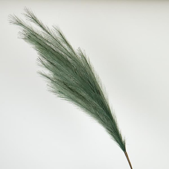 ΚΛΑΔΙ ΠΑΜΠΑΣ ΠΡΑΣΙΝΟ 112cm