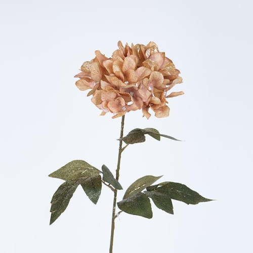 ΛΟΥΛΟΥΔΙ/ ΚΛΑΔΙ ΠΑΙΟΝΙΑ ΜΕ ΧΡΥΣΟΣΚΟΝΗ ΣΟΜΟΝ 68cm