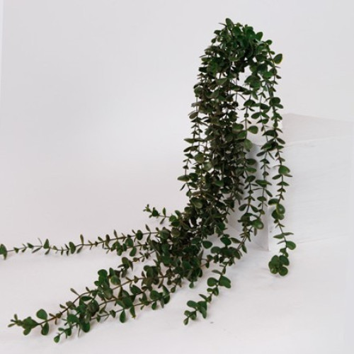 ΛΟΥΛΟΥΔΙ/ΚΛΑΔΙ ΚΡΕΜΑΣΤΟΣ ΕΥΚΑΛΥΠΤΟΣ ΠΡΑΣΙΝΟ 100cm