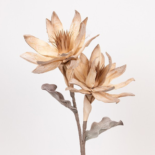 ΛΟΥΛΟΥΔΙ/ΚΛΑΔΙ FOAM ΜΑΝΟΛΙΑ ΜΠΕΖ-ΚΑΦΕ 28x90cm