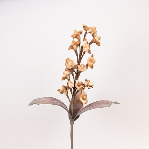 ΛΟΥΛΟΥΔΙ/ΚΛΑΔΙ FOAM ΟΡΧΙΔΕΑ ΚΑΦΕ 20x95cm