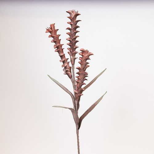 ΛΟΥΛΟΥΔΙ/ΚΛΑΔΙ FOAM ΑΛΟΪΔΕΣ ΜΠΟΡΝΤΩ 30x105cm