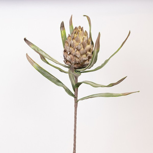 ΛΟΥΛΟΥΔΙ/ΚΛΑΔΙ FOAM ΑΓΚΙΝΑΡΑ ΠΡΑΣΙΝΟ 23x105cm