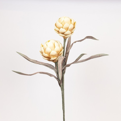 ΛΟΥΛΟΥΔΙ/ΚΛΑΔΙ FOAM ΑΓΚΙΝΑΡΑ ΚΙΤΡΙΝΟ 20x100cm