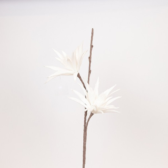 ΛΟΥΛΟΥΔΙ/ΚΛΑΔΙ FOAM ΑΣΤΕΡΙ ΤΗΣ ΒΗΘΛΕΕΜ ΛΕΥΚΟ 30x93cm