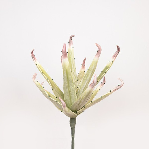 ΛΟΥΛΟΥΔΙ/ΚΛΑΔΙ FOAM ΤΟΥΛΙΠΑ ΠΡΑΣΙΝΟ 40x90cm