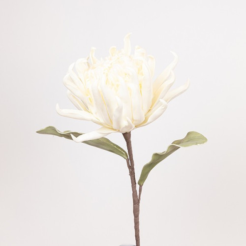 ΛΟΥΛΟΥΔΙ/ΚΛΑΔΙ FOAM ΠΡΩΤΕΑ ΛΕΥΚΟ 15x95cm