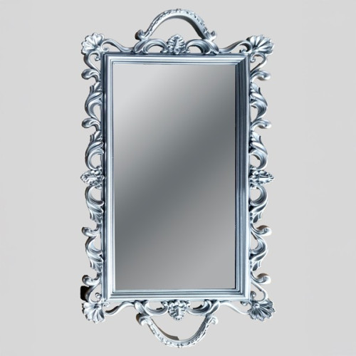 ΔΙΣΚΟΣ ΜΕ ΚΑΘΡΕΦΤΗ ΠΛΑΣΤΙΚΟ ΑΣΗΜΙ 48x2x23cm